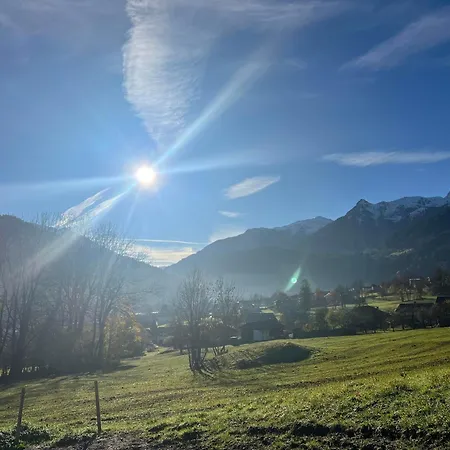 Apartamento Fidelia *